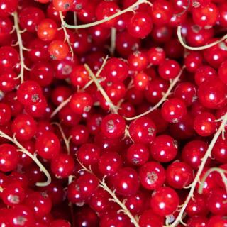Johannisbeeren 250g