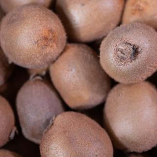 Kiwi grün