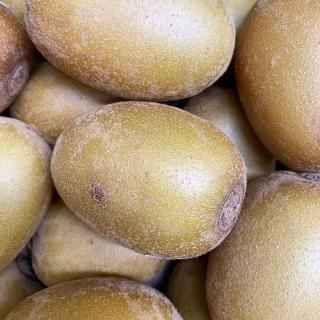 Kiwi gold