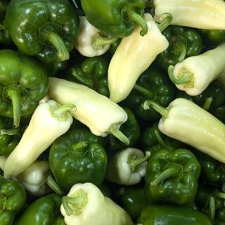 Paprika grün spitz/Block - aus eigenem Anbau