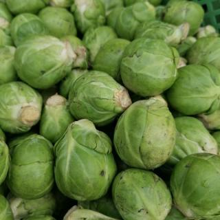 Rosenkohl - aus eigenem Anbau