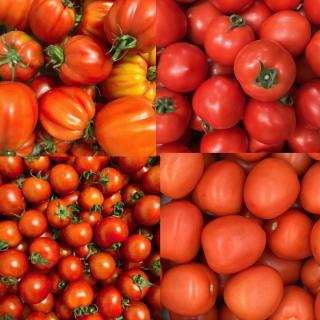 Aktuell: Tomatenkiste