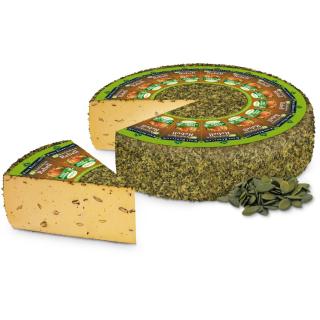 Kürbiskernrebell