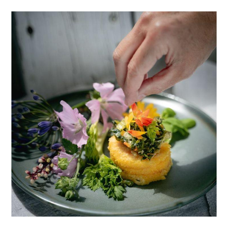 Grießrauten mit Staudenselleriegemüse