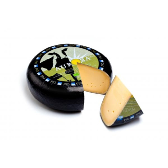 Aurora Gouda Old schwarz