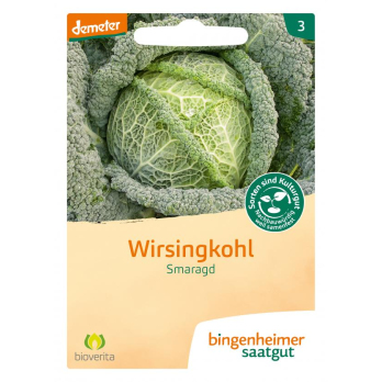 Saatgut Wirsing, Smaragd