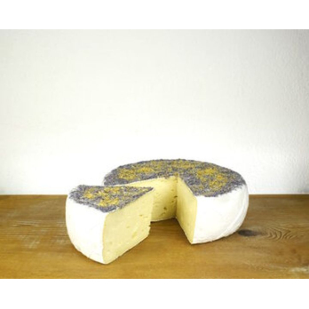 Tomme Fleurie Blüte