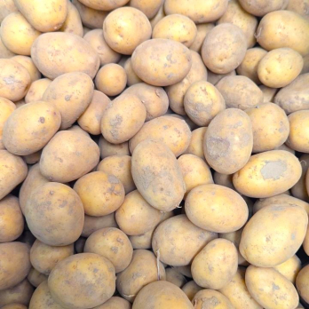 Kartoffel Salat KLEIN - aus Bernhausen
