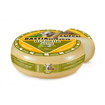 Schaf Gouda Brébelle