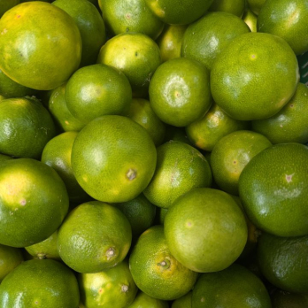 Satsuma - grüne Schale