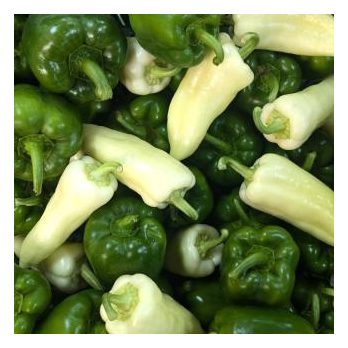 Paprika grün Block/Spitz - aus eigenem Anbau