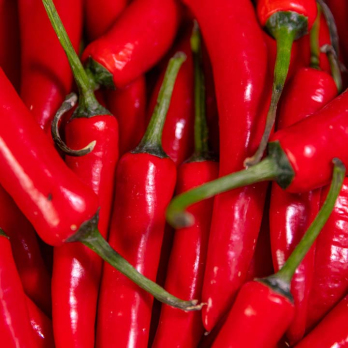 Peperoni rot