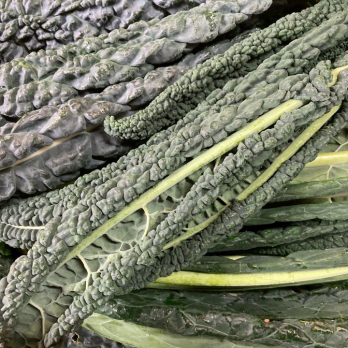 Schwarzkohl - aus eigenem Anbau