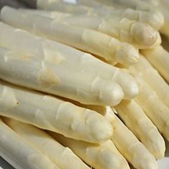 Spargel weiß - aus der Pfalz
