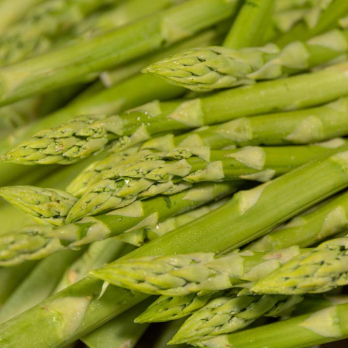 Spargel grün 500g Bund- aus der Pfalz