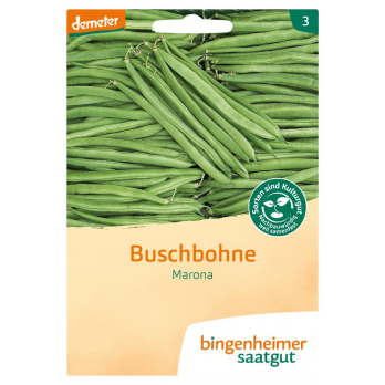 Saatgut Bohne, Busch- Marona