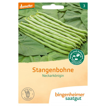 Saatgut Bohne, Stangen- Neckarkönigin