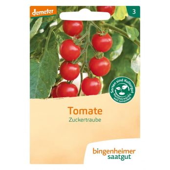 Saatgut Tomate, Cocktail- Zuckertraube