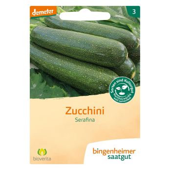 Saatgut Zucchini Serafina