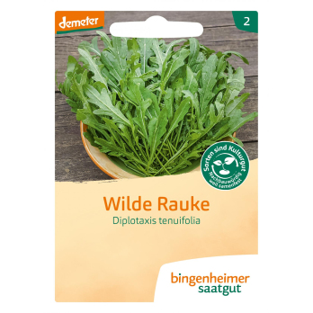 Saatgut Rucola Wilde Rauke