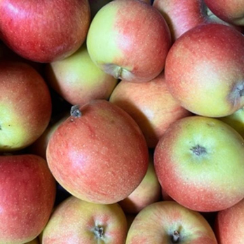 Apfel Braeburn - aus Stuttgart