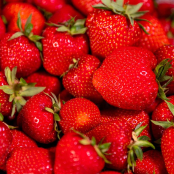 Erdbeeren 250g