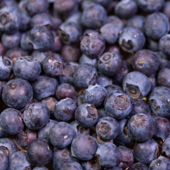 Heidelbeeren 200g