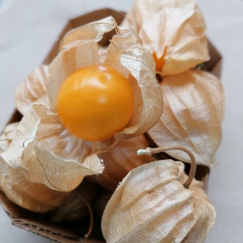 Physalis 100g
