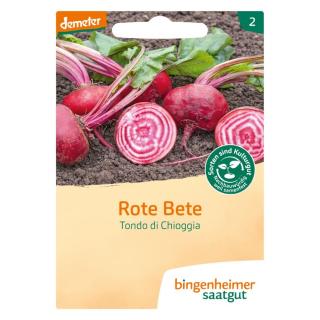Saatgut Rote Bete Tondo di Chioggia