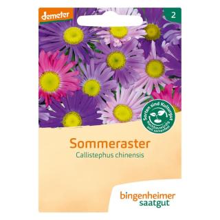 Saatgut Sommeraster