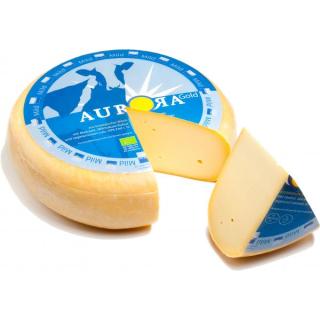 Aurora Gold Gouda jung