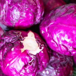 Rotkraut - aus eigenem Anbau