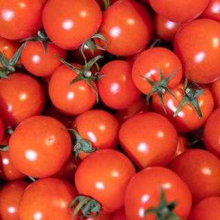 Tomate Cocktail - aus eigenem Anbau
