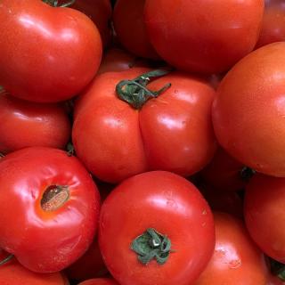 Tomate, Koch - aus eigenem Anbau, begrenzt verfügbar