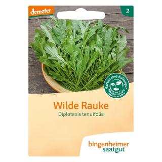 Saatgut Rucola Wilde Rauke