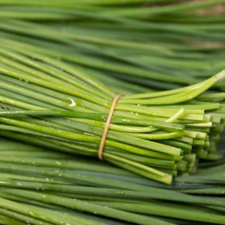 Schnittlauch - aus eigenem Anbau