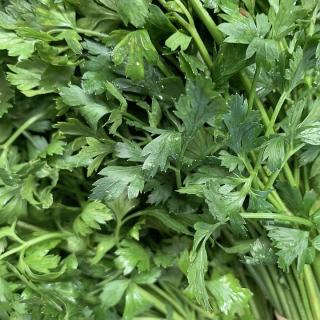 Petersilie glatt - aus eigenem Anbau