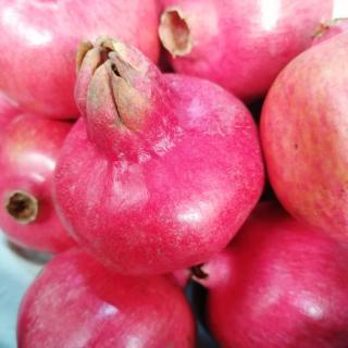 Granatapfel