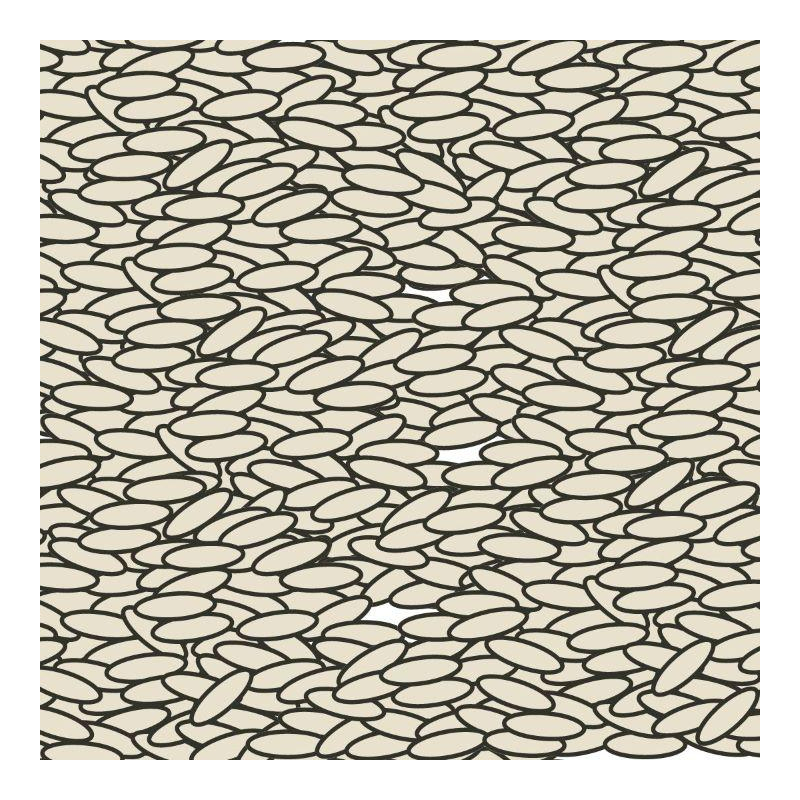 Basmati-Reis zubereiten