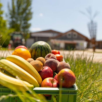 Firmenkiste nur Obst ca 35.-