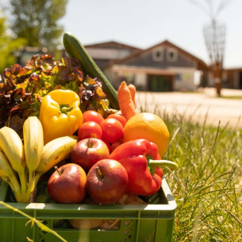 Firmenkiste Mix - 1/4 Gemüse ca 50.-