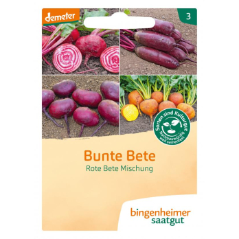 Saatgut Rote Bete Mischung Bunte Bete