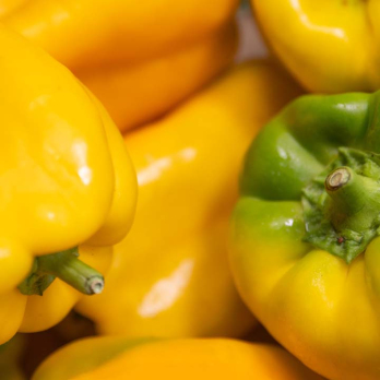 Paprika gelb