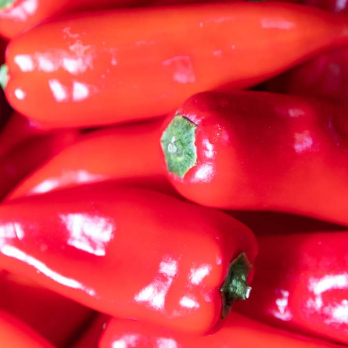 Paprika rot spitz