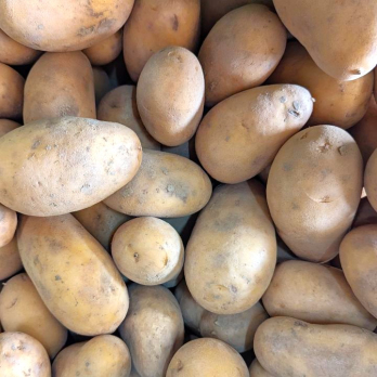 Kartoffel Salat Simonetta fk - aus Bernhausen