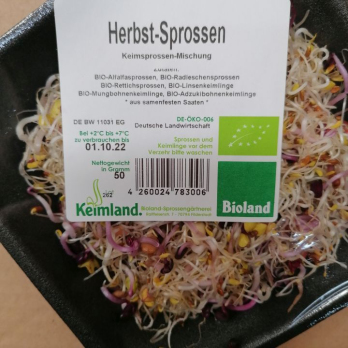 Sprossen, Herbst 50g - aus Bonlanden