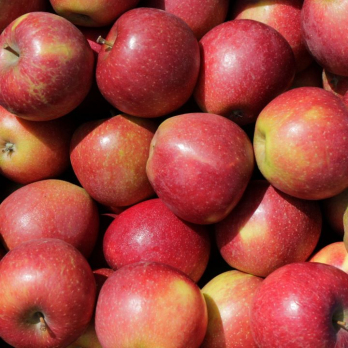 Apfel Natyra - aus Stuttgart