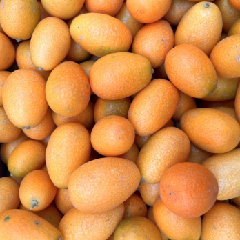 Kumquat