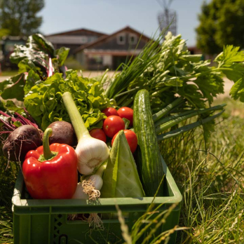 Total regional Gemüsekiste